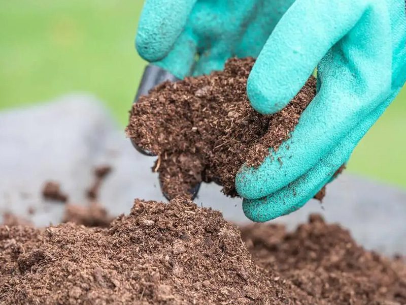 soil-improvement