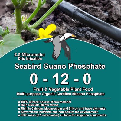 6,000 mesh micronized seabird guano powder at 2.5 microns, for drip irrigation and fertigation