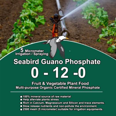 2,500 mesh seabird guano powder at 5 microns, for foliar spray and open irrigation