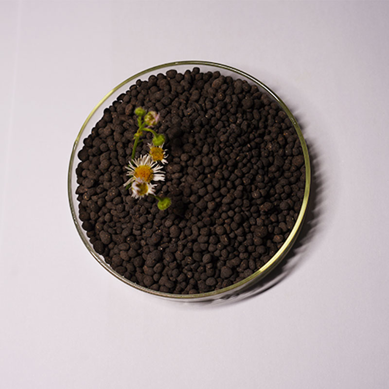 6-2-1 Organic Fertilizer