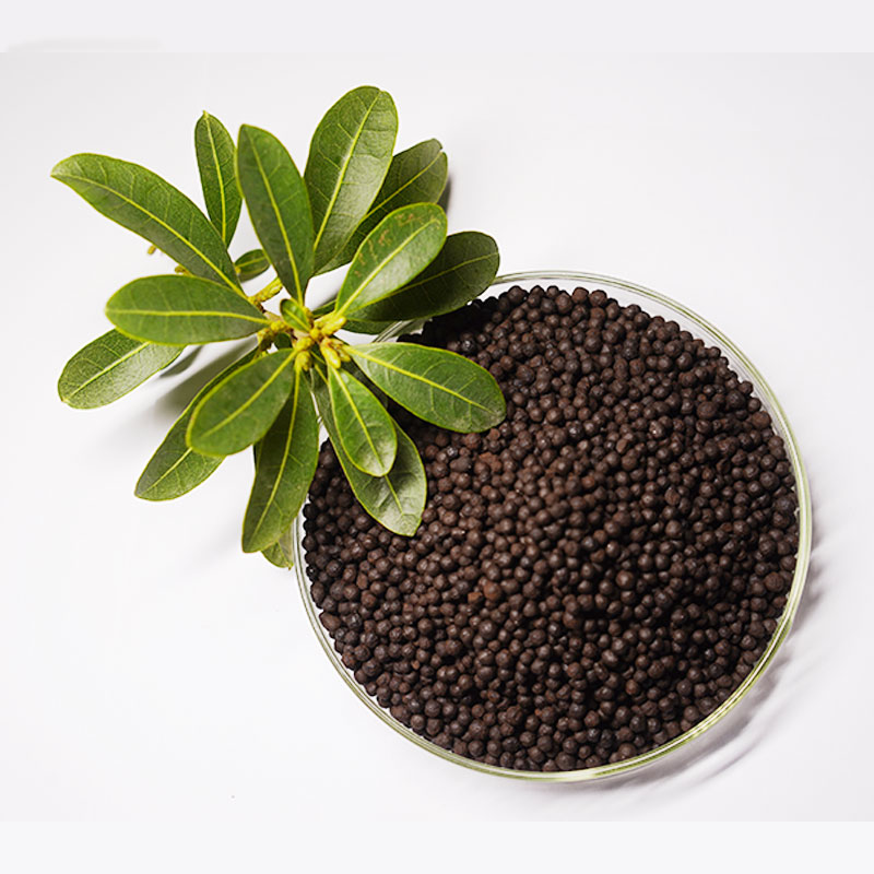 Organic Fertilizer 6-5-4