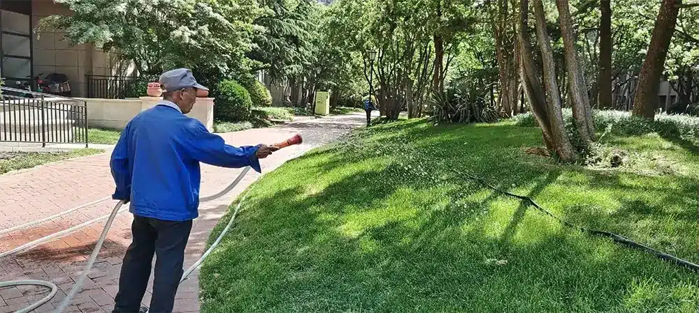 Lawn Care