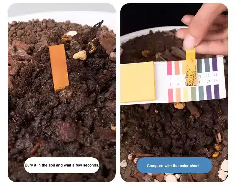 Kit per il test del pH