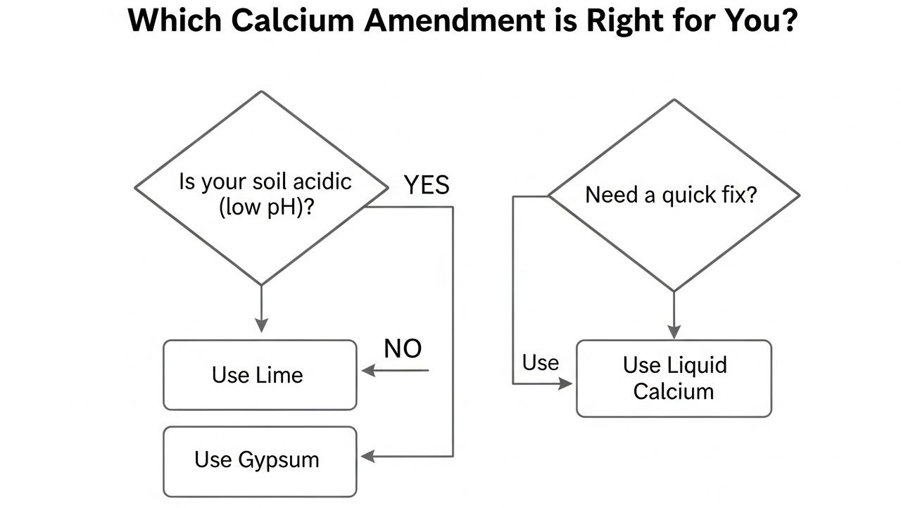 which-calcium-amendment-is-right-for-you