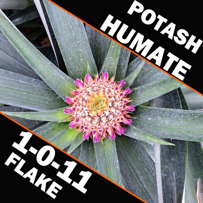Potash-Humate-1-0-11-Flake.