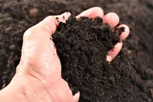 What is humic acid