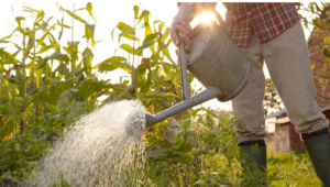 ホースエンドスプレー