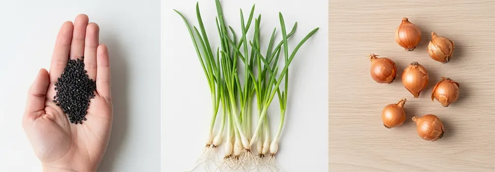 Onion Planting Methods