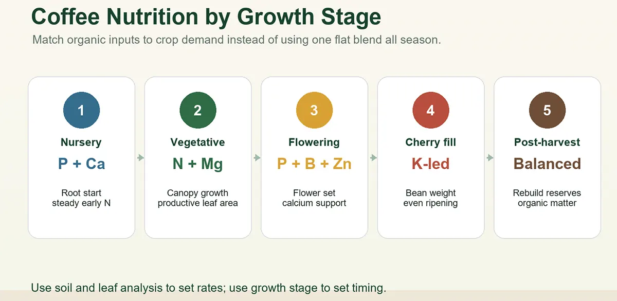 Coffee Growth Stage Npk Guide Info