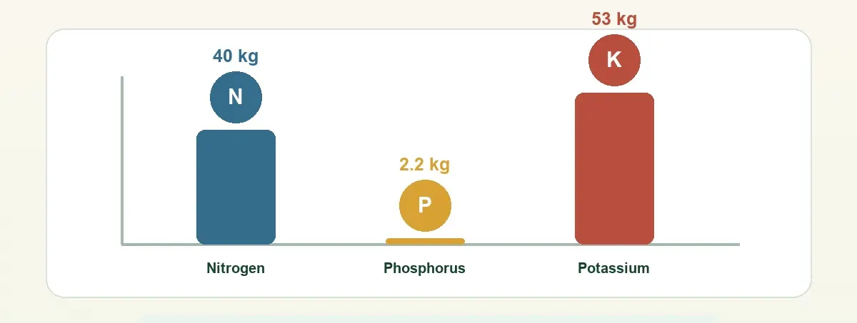 Coffee nutrient export chart showing nitrogen phosphorus and potassium removed per tonne of green bean