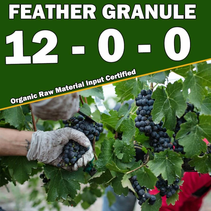 Feather Meal Granule product image