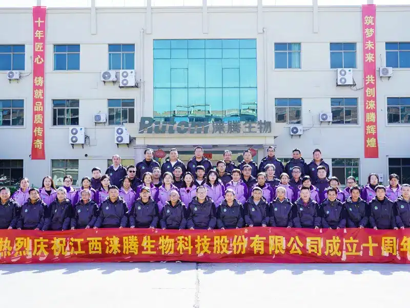 Technical and production team